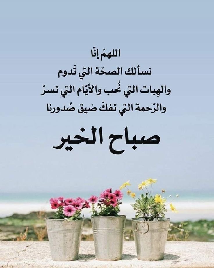 اللهم اجعل هذا الصباح ،،
خيراً لنا ..
مملوءاً بالأجر ،، مصحوباً بالعافية 
ومختوماً بالمغفرة ،،
.
صباح الخير 🤍