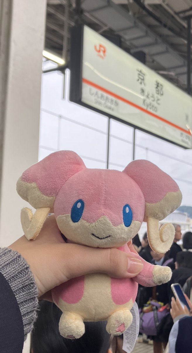 audinoism's tweet photo. タブンネさん、いくぞ！
#ポケモンfit #ぬい撮り部 https://t.co/YKSOUEqZPF