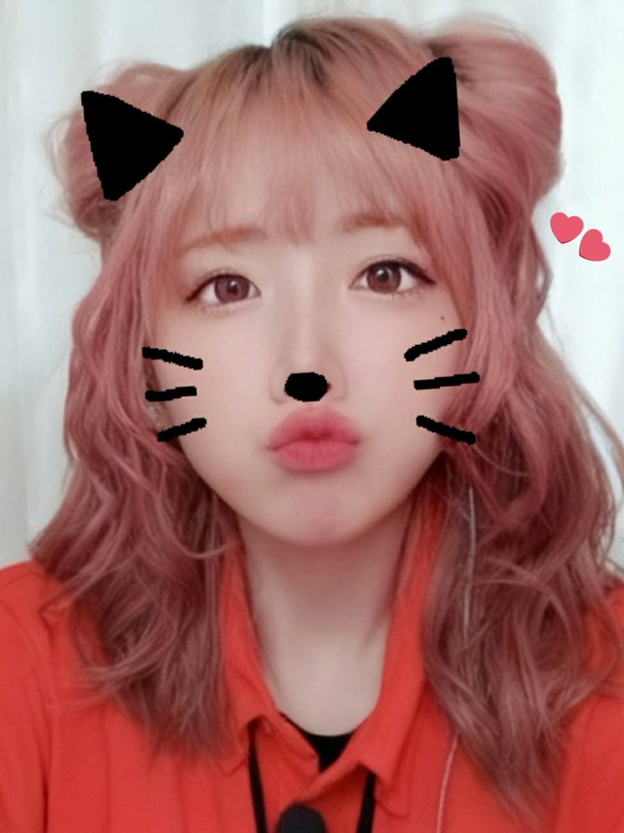 今日は何の日〜❔

＼ #にゃんにゃんday 〜(ᯫ᳐*´꒳​`* ᯫ᳐)🐾／