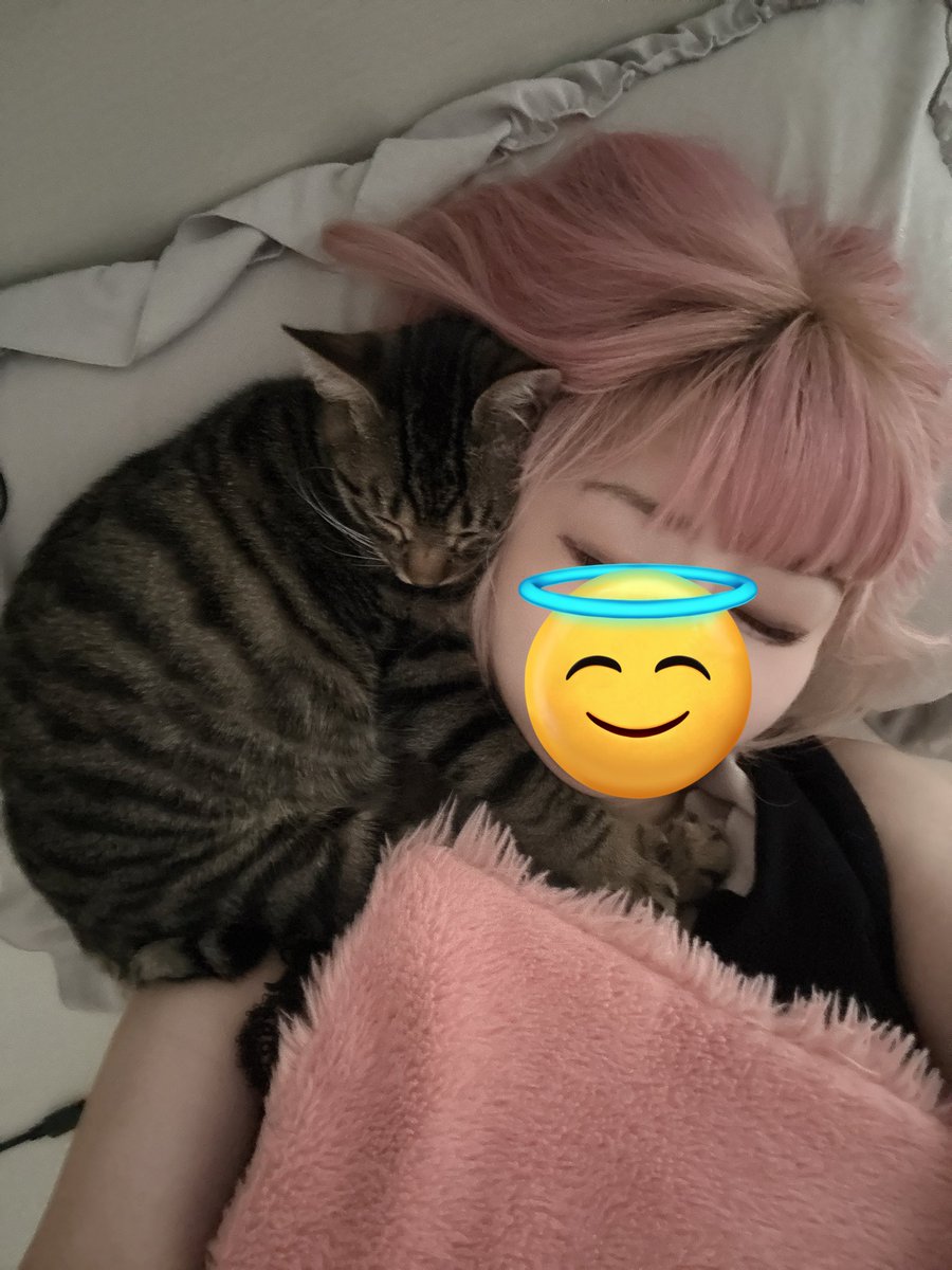 せーちゃん SHe4 CHAN💚しぇーちゃん (@orochan_fanfan) / Posts / X