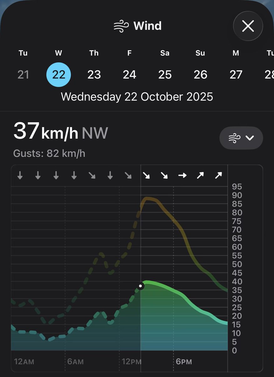 BlueModelY's tweet image. به هر حال Gusts 82km/h خیلیه!
#ملبورن