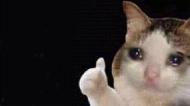 mcc2_leticia's tweet photo. O Muso saiu 💔 https://t.co/9IaZaaFre5