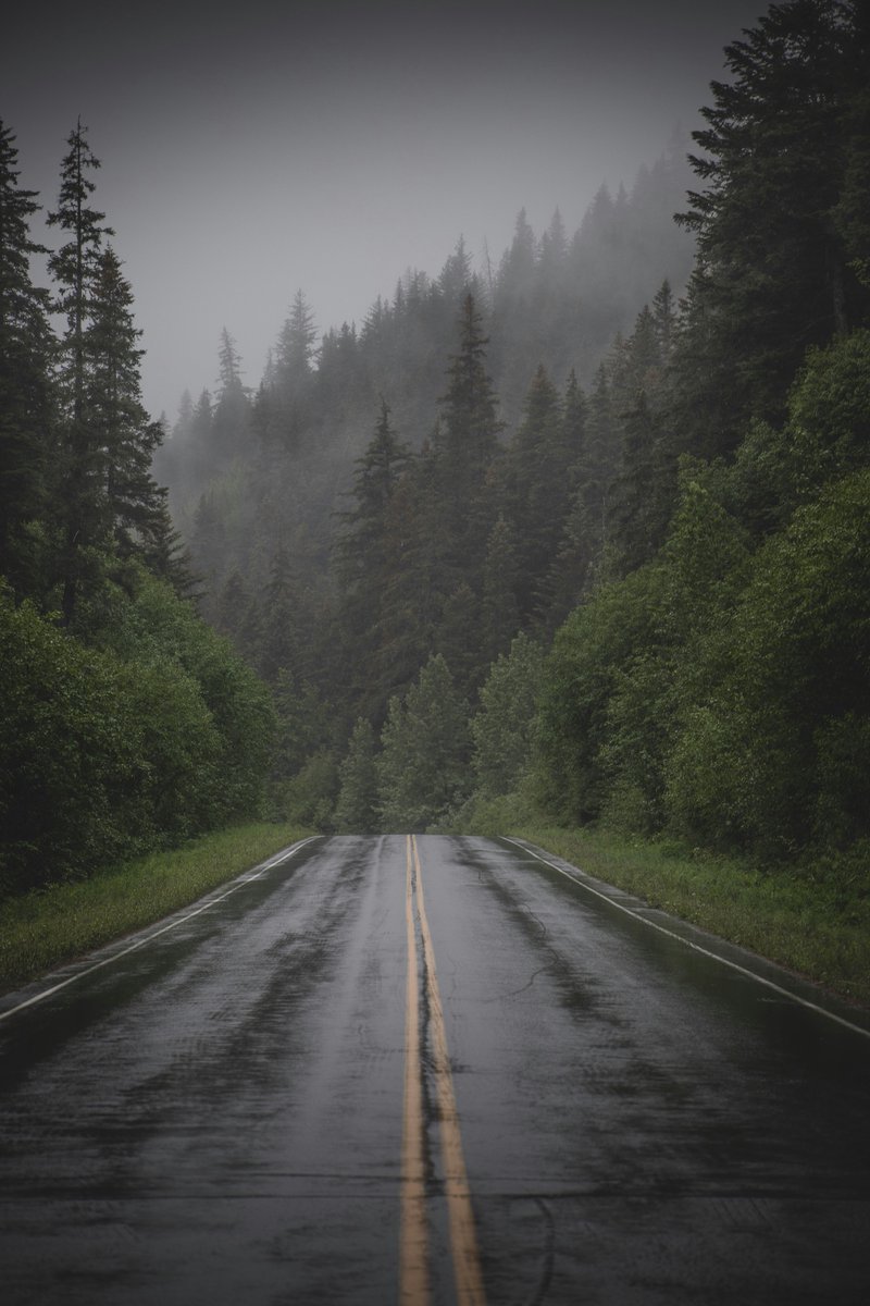 earthcurated's tweet photo. — after the rain 🌧️ https://t.co/OJD9VscF78