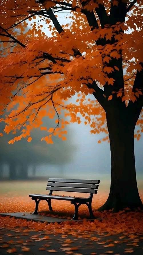 Lovely morning to everyone around