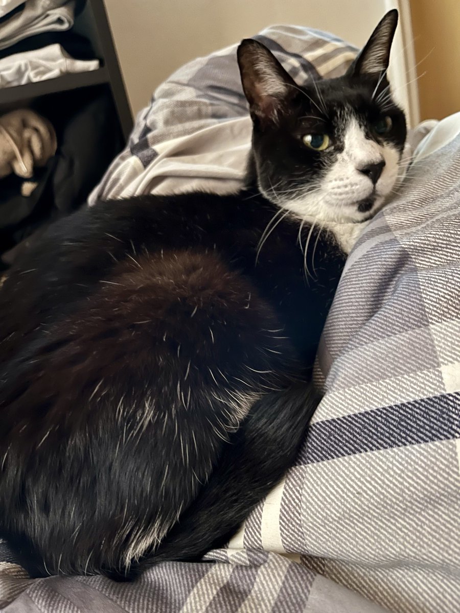 おそようございまーす♡♡