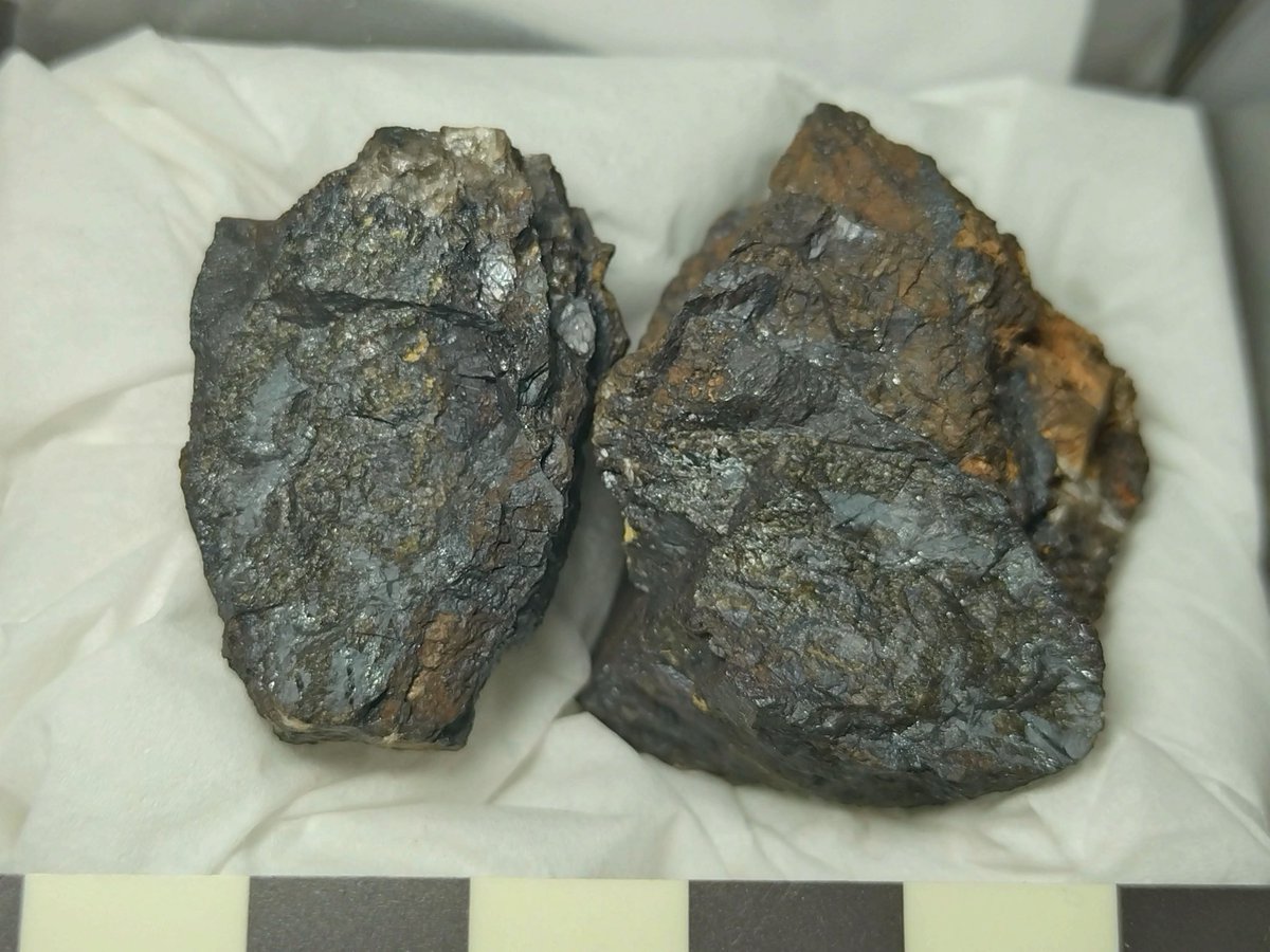 第4回展示会ブース紹介20
ブース名:マンガン初心者コレクション
テーマ:マンガン
26日出店できませんが、告知参加させていただきます！
展示予定標本 国力鉱山　オホーツク石 三根鉱山　ヘイトマン石 菖蒲　褐簾石 加茂山　豊石