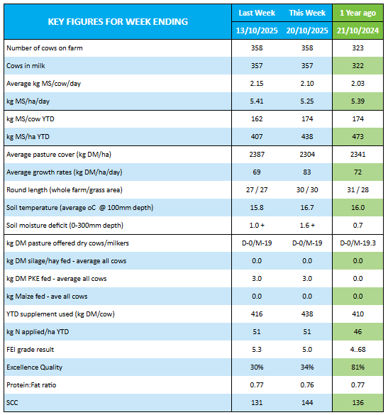 OwlFarmNZ tweet media