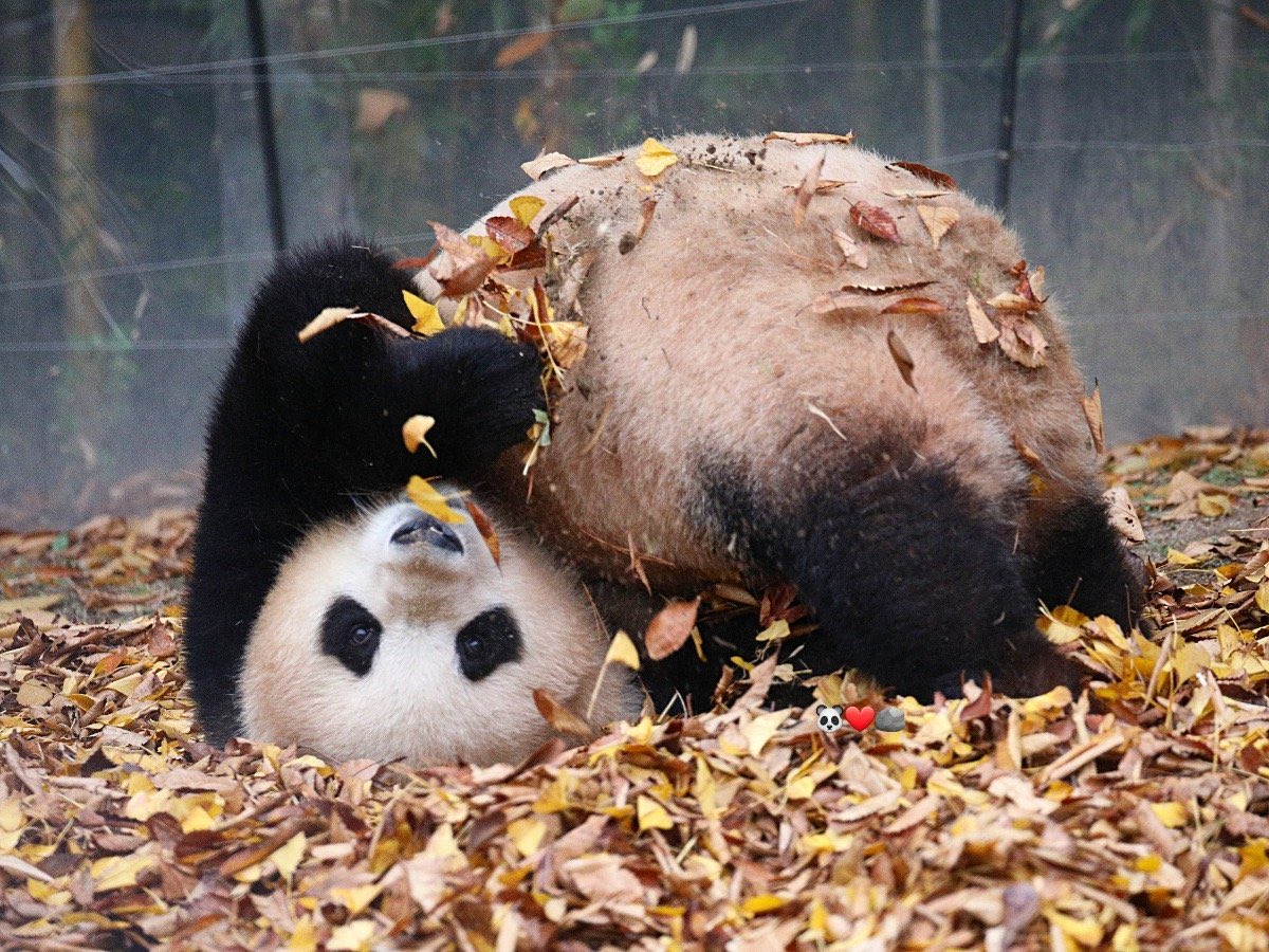 xiongseulgi's tweet image. 🍂