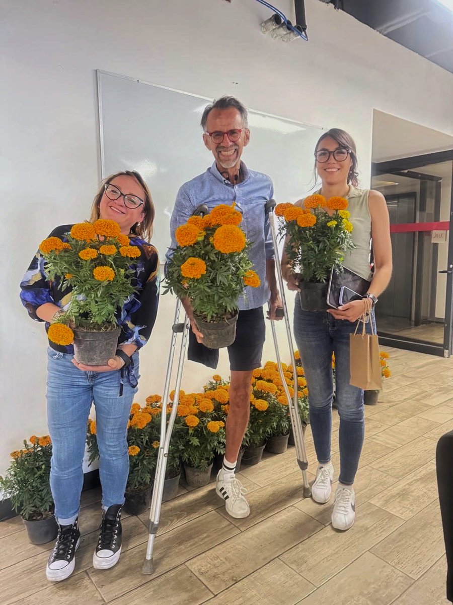 Hoy en PILARES recibimos un detalle que nos llena de alegría, <a href="/Jualicra/">Julia Álvarez Icaza Ramírez</a> nos mandó flores de cempasúchil, llenando nuestros espacios de color y tradición. Gracias por el detalle y por apoyar a los productores locales

En esta temporada, celebremos con lo nuestro, ¡ elijan
