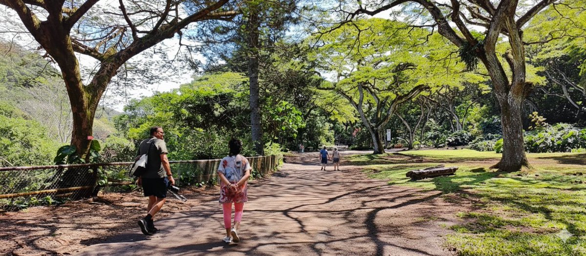 manojpandey66's tweet image. Walking to 27 years of life goals together this year
Looking forward to many such moments, places and free time..
How much more it will take,  time will tell 
The journey has begin and will continue..