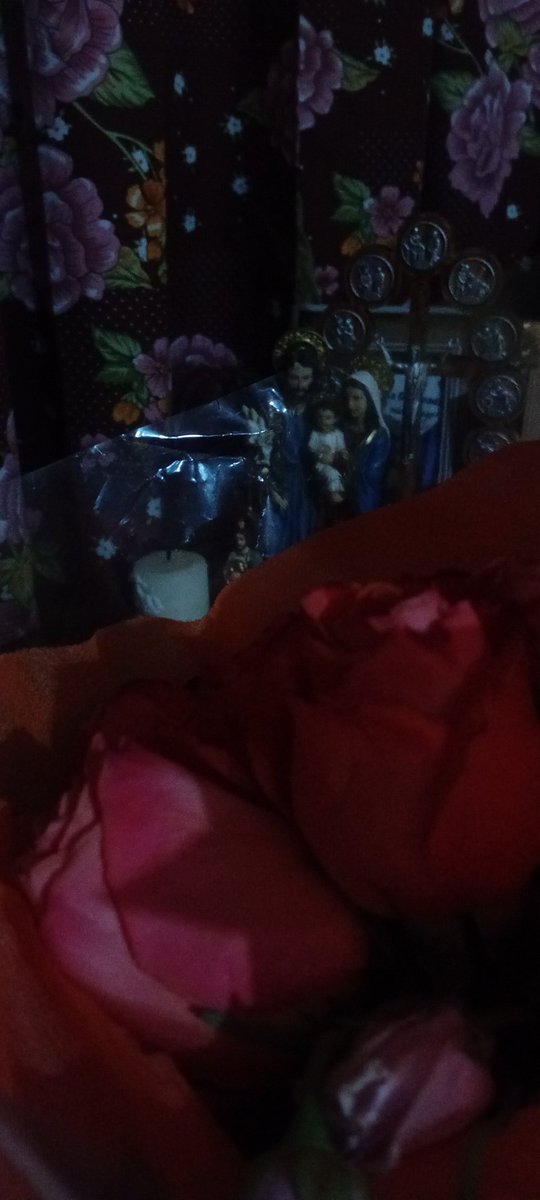 👆 Ellos y mis hijas saben que me gustan las 🌻🌼💮🪻⚘️🌹🌷🌺🌸 #57