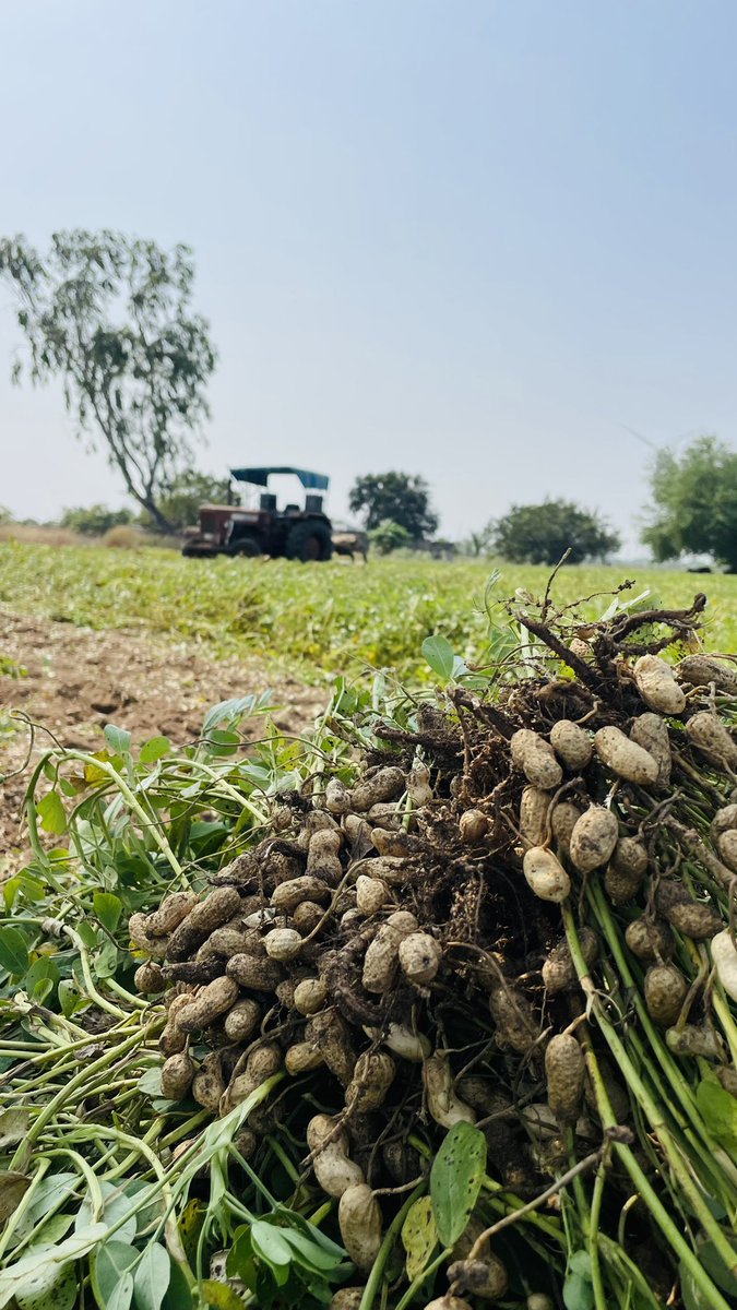 નવા વરહ ના રામ રામ ડાયરા 🤝

#happy_new_year