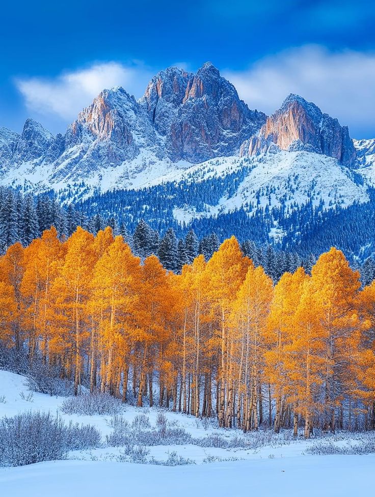 Good morning friends 😊 

 Difficulties are like a washing machine. They twist and turn us but eventually we will come out brighter and better than before.
┄┄┅┅┅❅❁❅┅┅┅┄
#nature 
#wednesdaymotivation