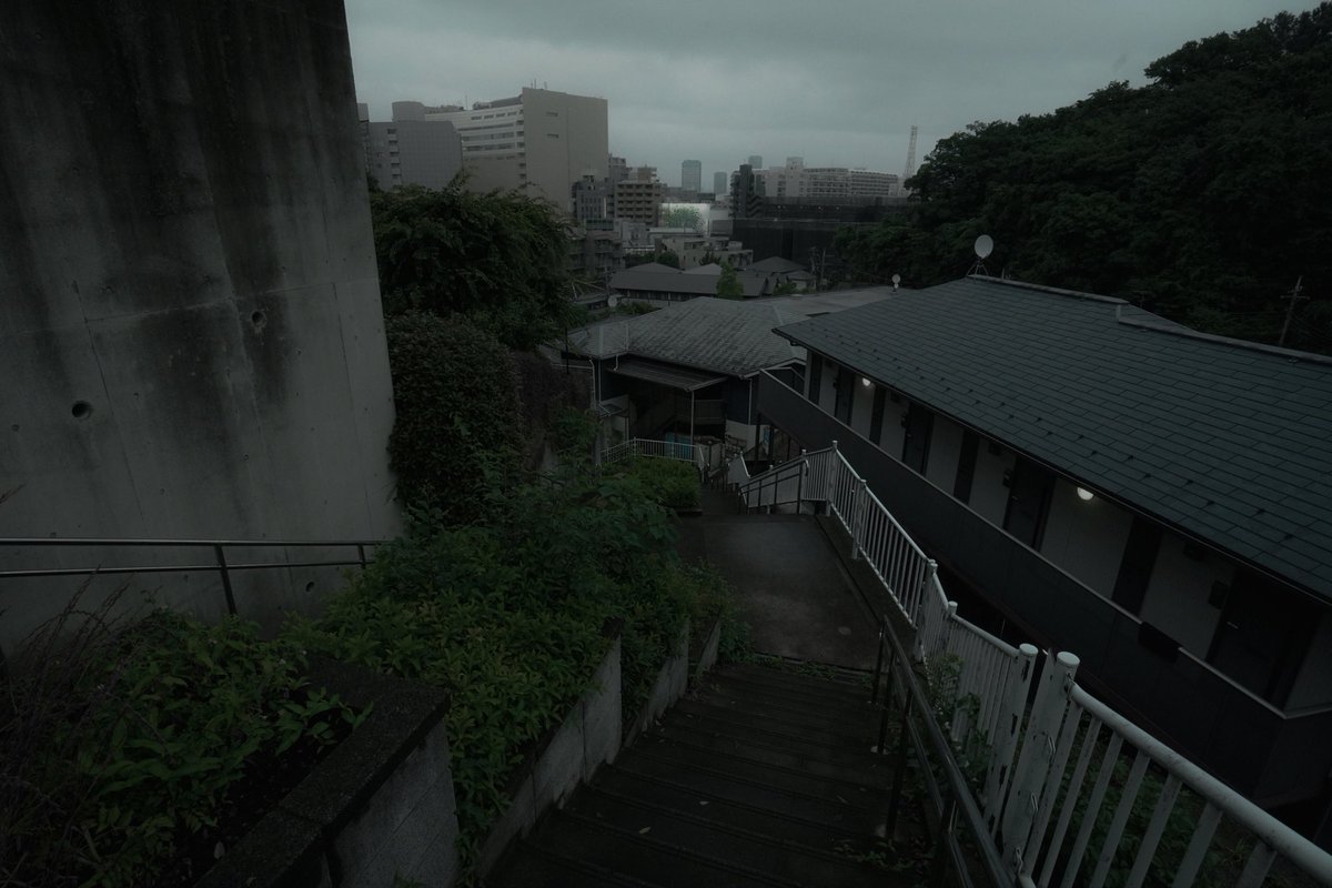 n55_pafu's tweet image. 