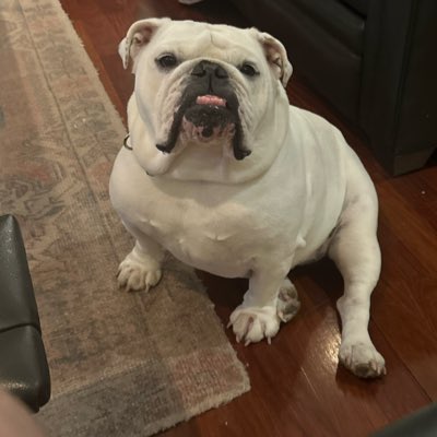 JLSIV99 tweet picture