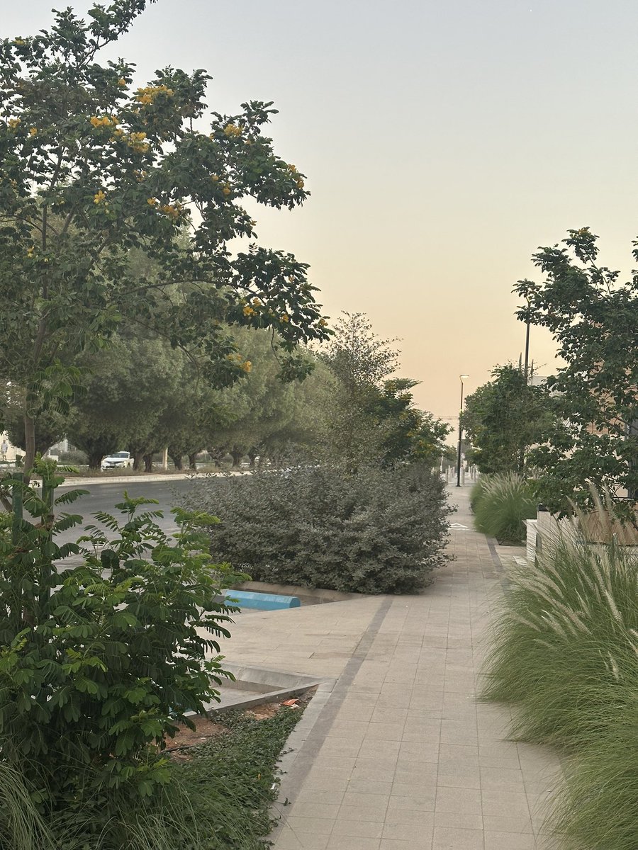 صباااااح الورد