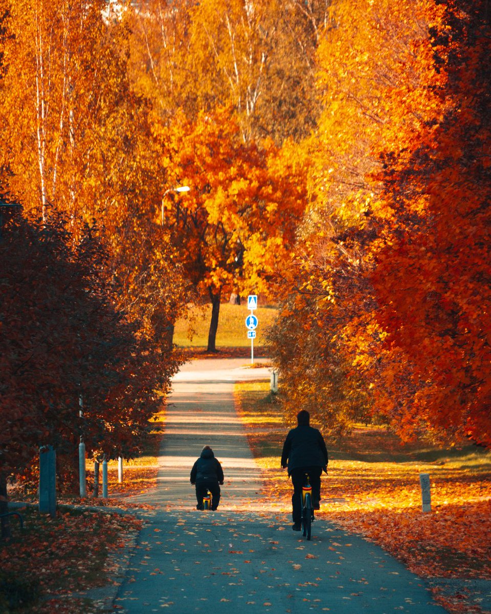 Is this your Wednesday checklist, too?
✅ Coffee
✅ Emails
✅ One good bike ride to survive the rest of the week 🚴‍♂️:)

#Bikademy #WednesdayVibes #CyclingLife #RideYourWay #ActiveMobility #bicycle #bike