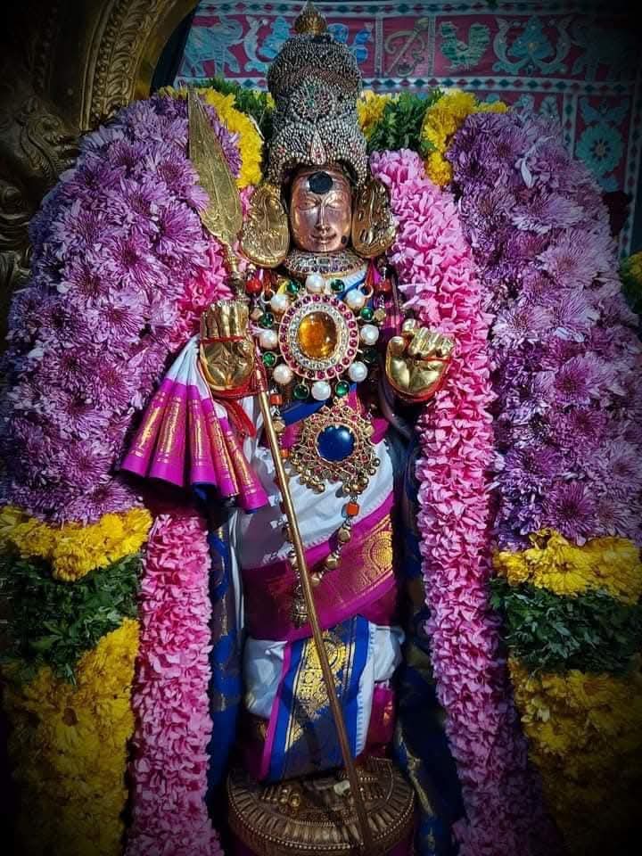 AnnapurnaPillai's tweet image. வெற்றிவேல் முருகனுக்கு அரோகரா 🙏