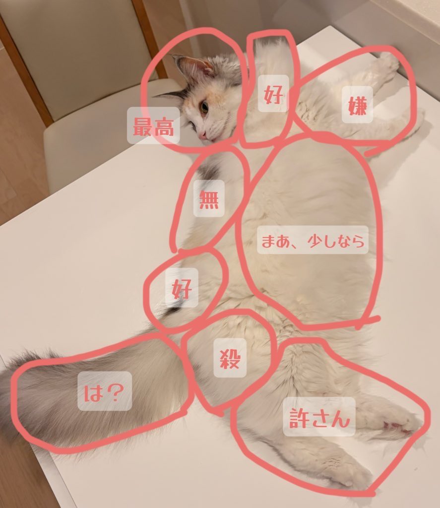 punitamadeko's tweet photo. うちの子おさわりマップ🫶 https://t.co/fvHMsPSK1T