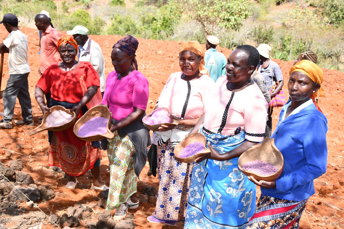 Africa Sand Dam Foundation (ASDF) tweet media