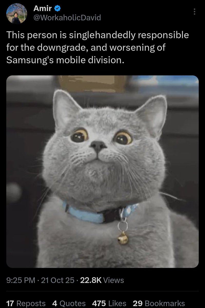 techkernels's tweet image. this cat forced samsung to use old sensors and not upgrade their cameras right right right 🤭