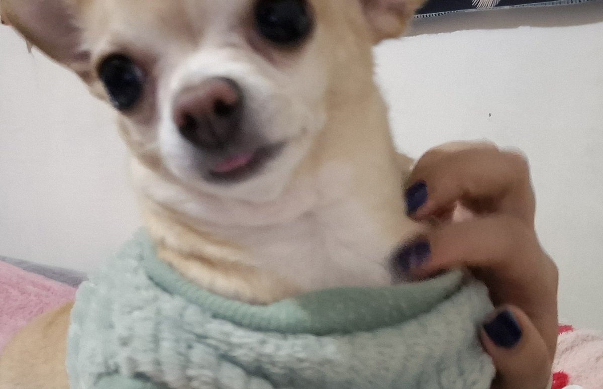 Norma Luna tweet media