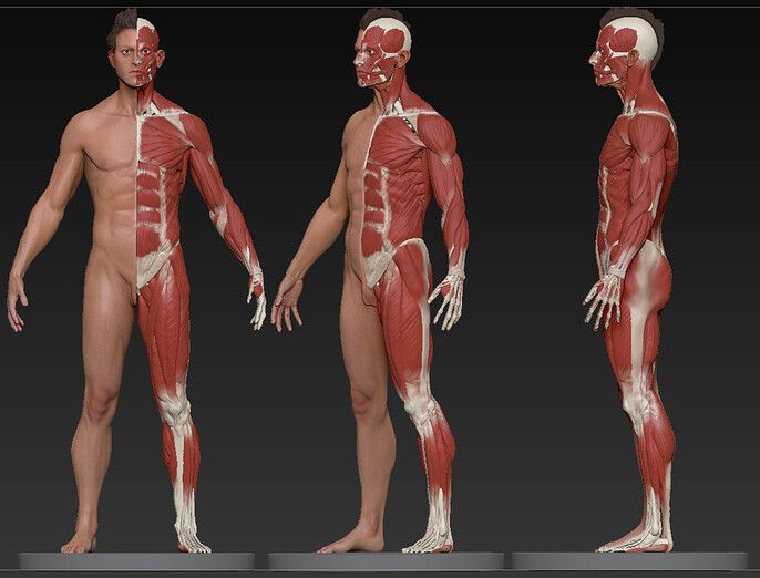 Cubebrush's tweet image. For digital artists aiming professional quality: Explore 4 crucial techniques often skipped in traditional art education. buff.ly/MyVwF3L
#digitalart #arttutorial #howtodraw #fantasyart #artclass #photoshop #art #artwork #speedpaint #design #tutorial