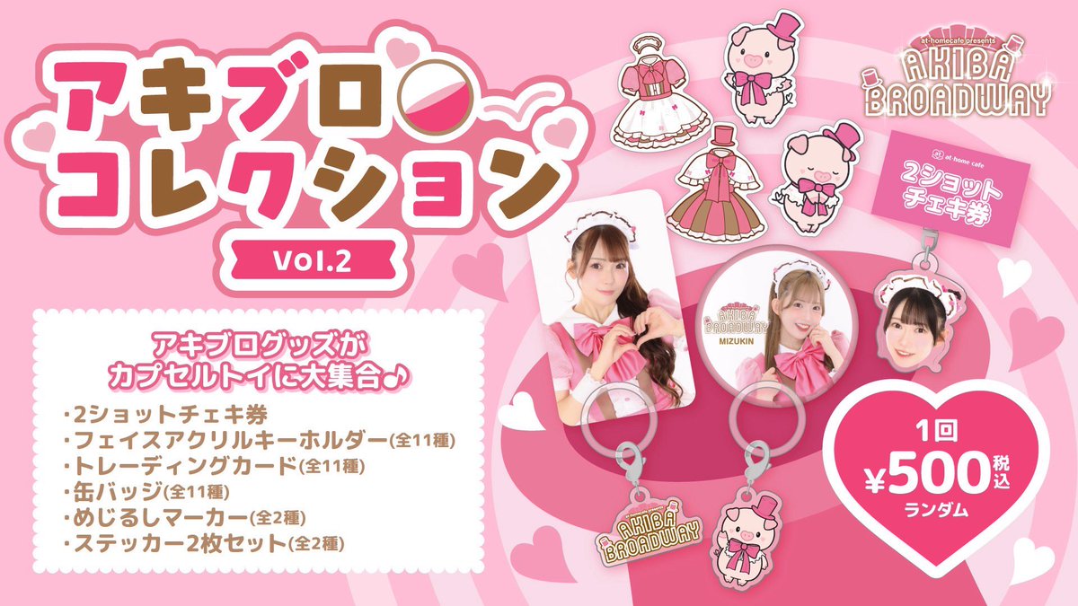 あっとほぉーむカフェ Chimu 萌袋 チェキファイル ソロチェキくじ 15周年