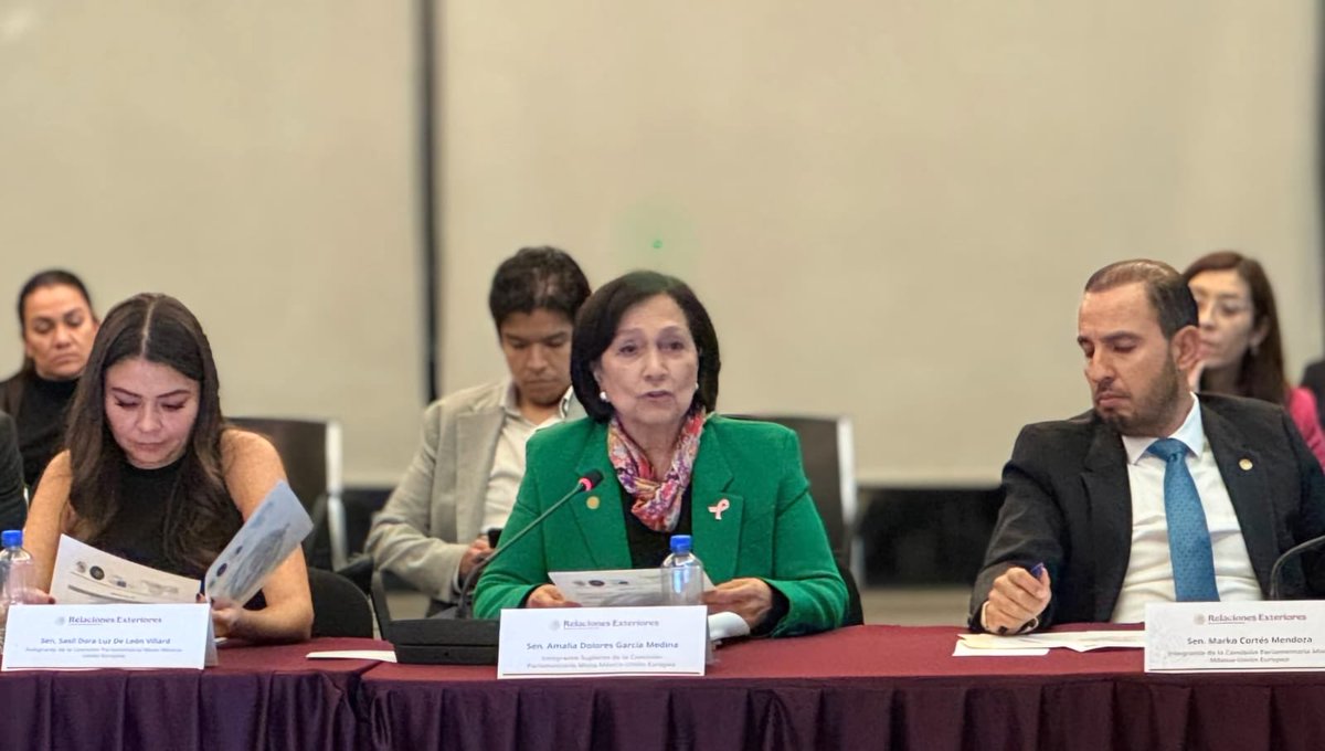 Reunión de trabajo de la Comisión Parlamentaria Mixta México-Unión Europea, en la que participamos senadoras, senadores, diputadas y diputados de varios grupos parlamentarios. 🇲🇽🤝🇪🇺