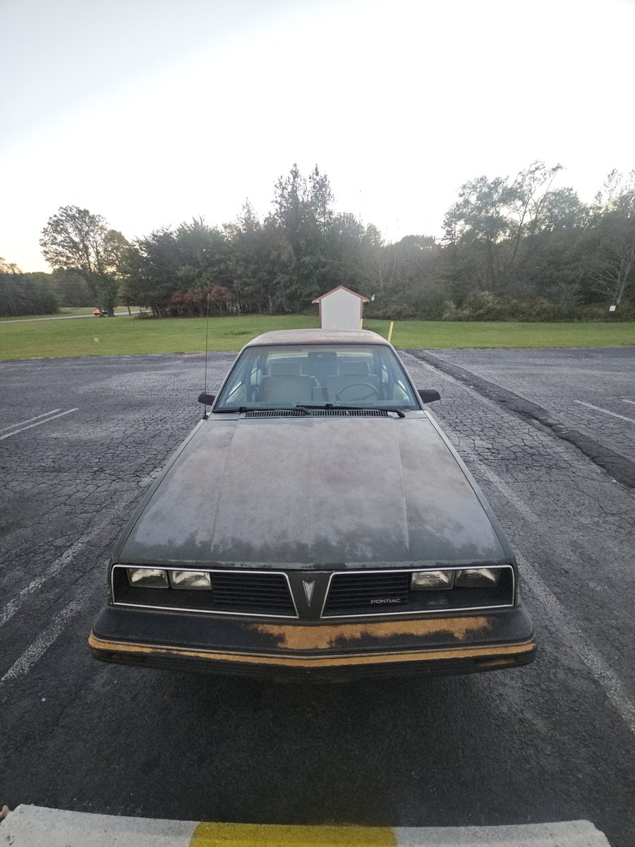 40 years old and getting daily driven he's mad asf!! 🤣😂😂✌️✌️