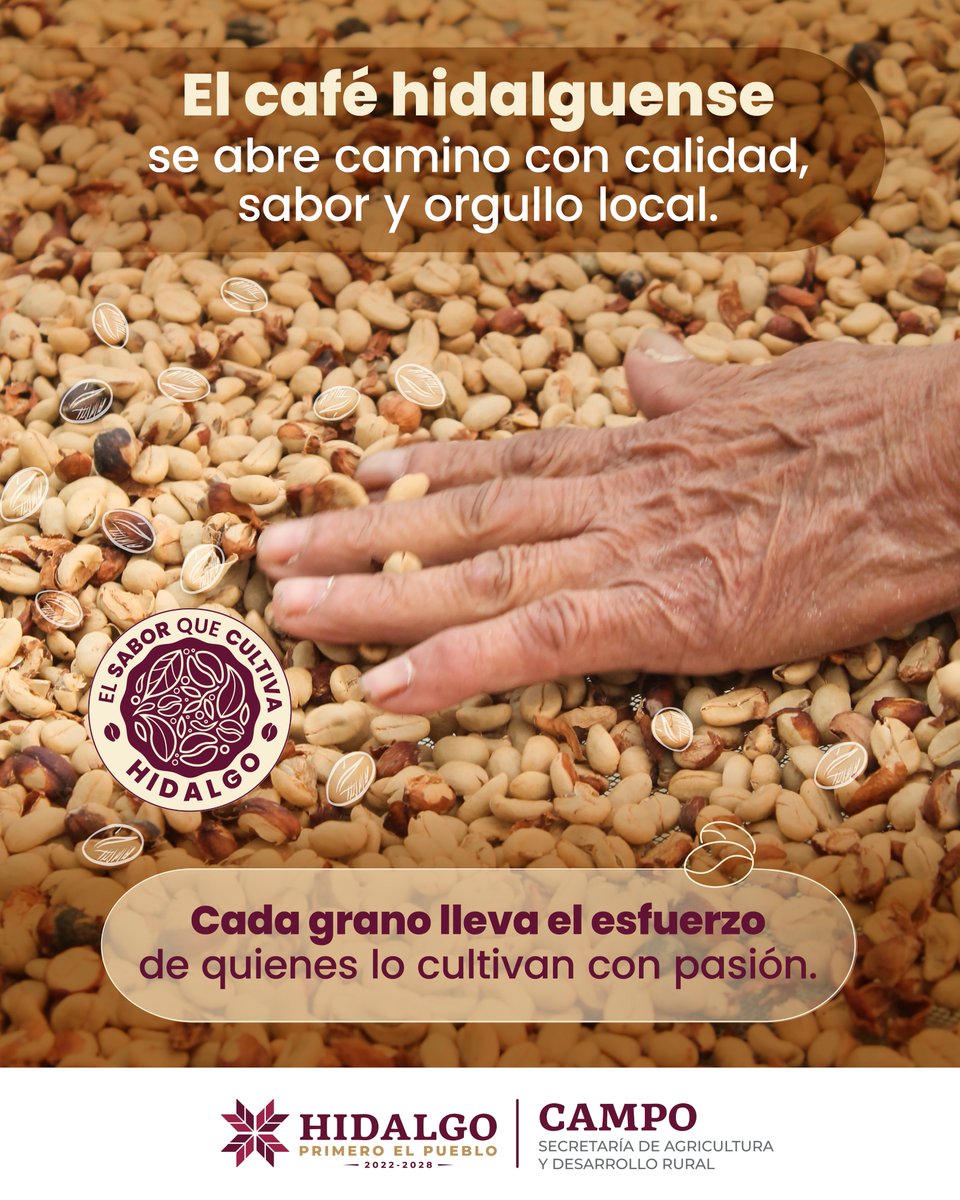 CronicaHidalgo's tweet image. En cada grano de café hidalguense hay un recorrido completo: del campo al corazón de las familias.
Cada etapa del cultivo está marcada por el trabajo duro, la naturaleza y una dedicación que lo hace único.
#HidalgoConAromaACafé
#PrimeroElCampo