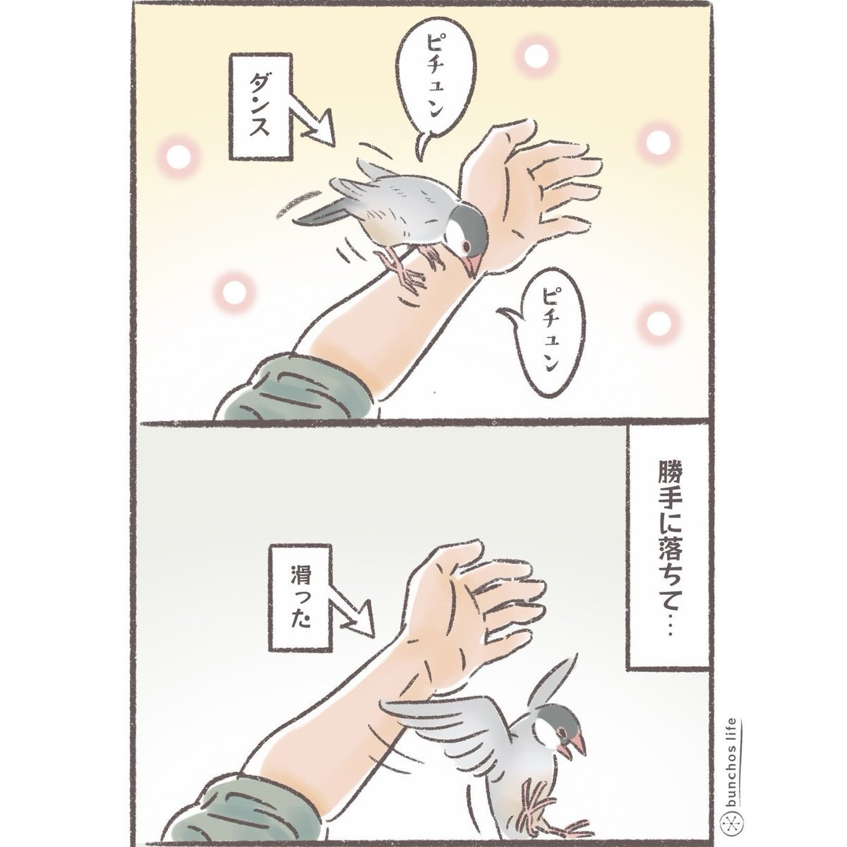 こむぎとなっております 極上 つきごま金【1238】 |「ごまの通販専門店」オニザキ公式ショップ