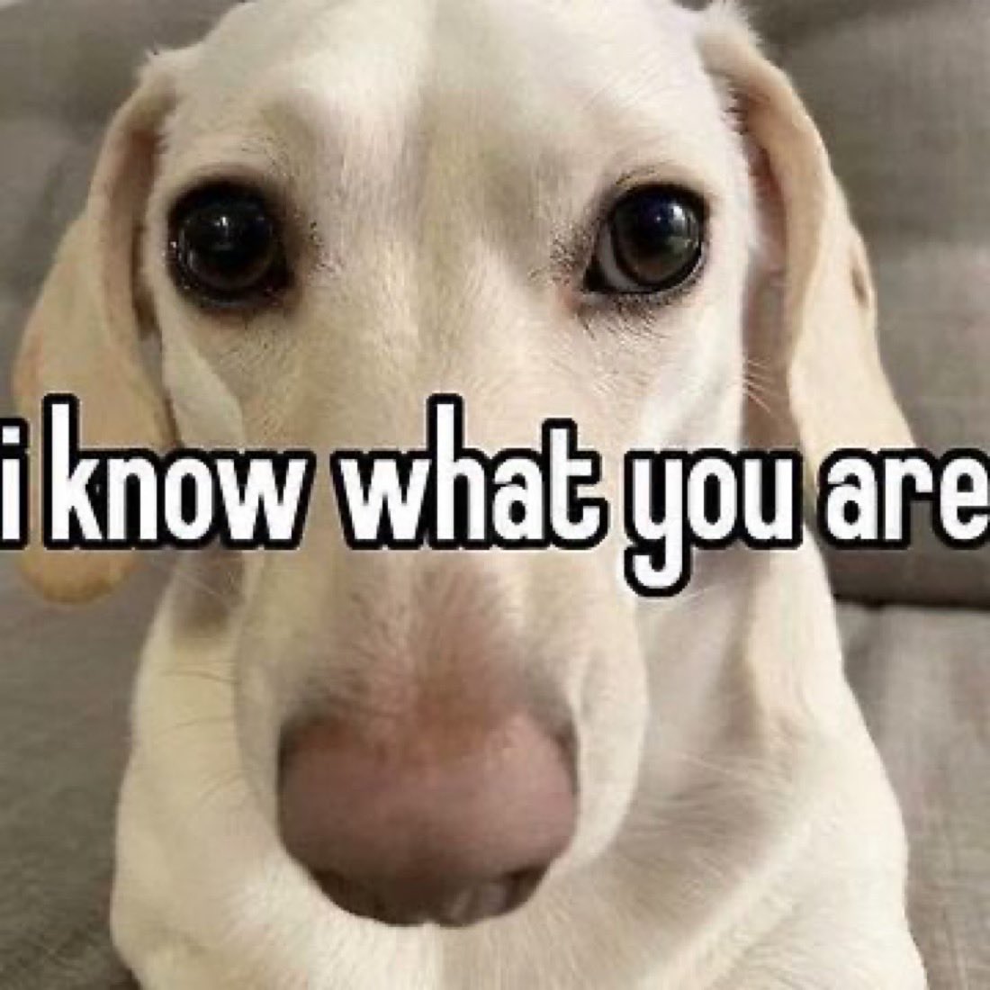 fpsDeny (@fpsdeny) on Twitter photo 