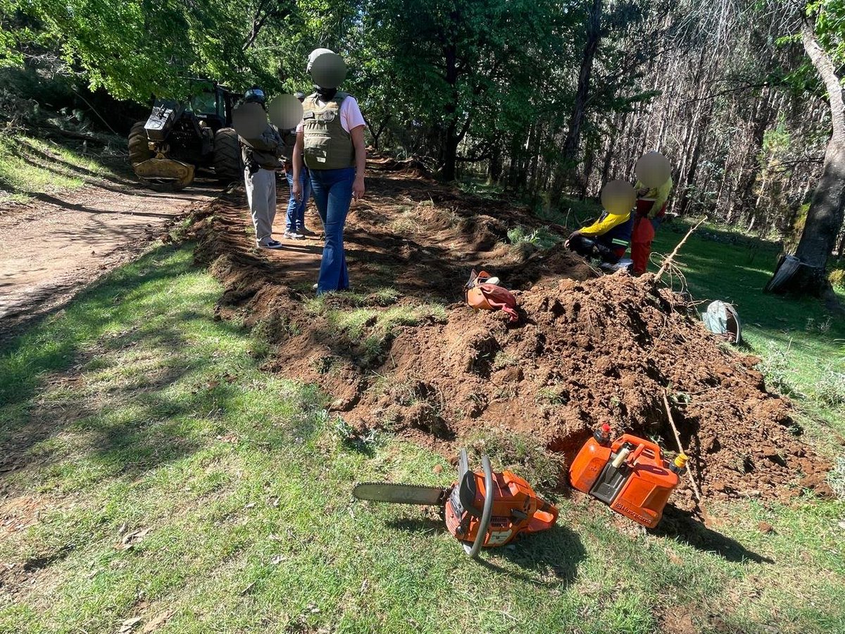 CarabNuble's tweet image. En #SanFabián Carabineros de #OS9 #Ñuble detuvo a 8 sujetos que fueron sorprendidos sustrayendo madera desde predio particular. Se les incautó camiones, motosierras y otras maquinarias utilizadas para el ilícito. Alerta oportuna permitió captura en flagrancia.
#OrdenyPatria