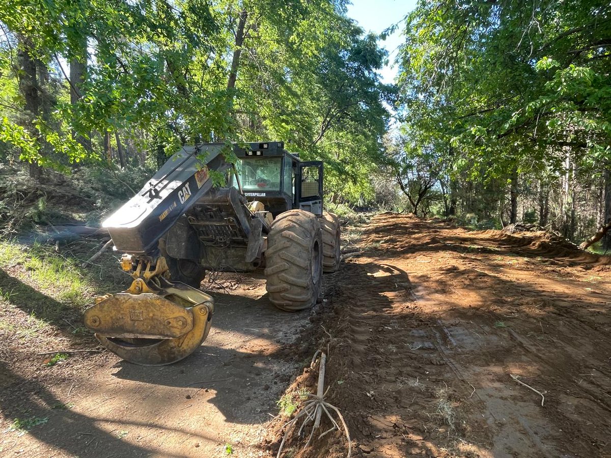 CarabNuble's tweet image. En #SanFabián Carabineros de #OS9 #Ñuble detuvo a 8 sujetos que fueron sorprendidos sustrayendo madera desde predio particular. Se les incautó camiones, motosierras y otras maquinarias utilizadas para el ilícito. Alerta oportuna permitió captura en flagrancia.
#OrdenyPatria