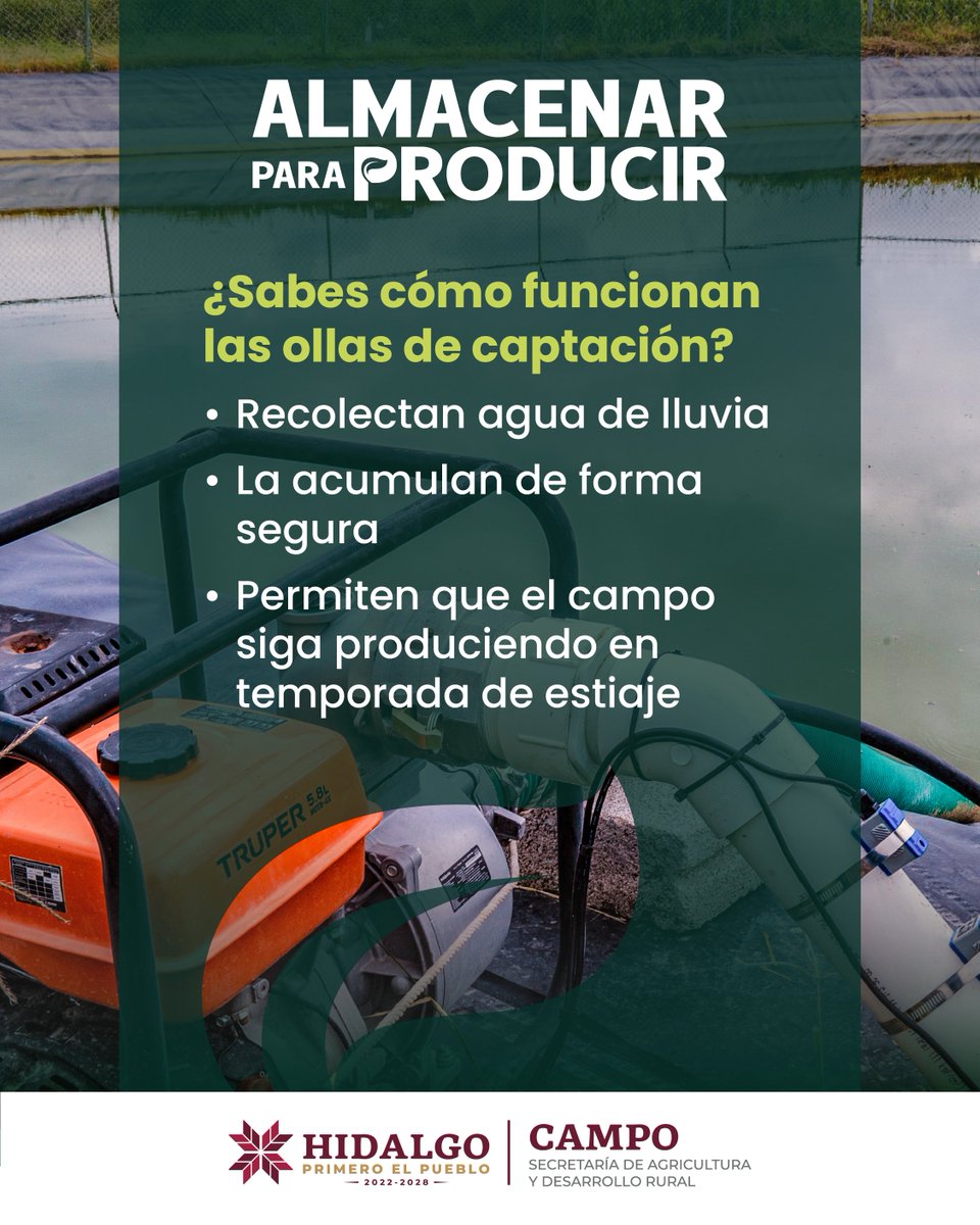 CronicaHidalgo's tweet image. Las ollas de captación son una solución sustentable para cuidar el agua y fortalecer la agricultura hidalguense. Conoce cómo funcionan aquí.
#AlmacenarParaProducir
#PrimeroElCampo