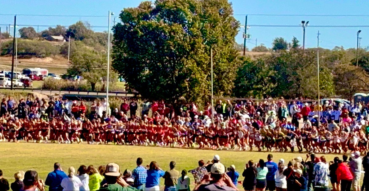 Bravo€Foxtrot tweet media