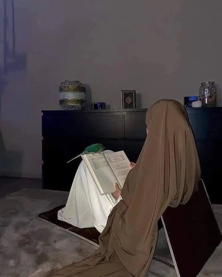 🍀🍀الحاجة الوحيدة اللي تستاهل محاولاتك فعلا
هي تغير نفسك للأحسن 🍀