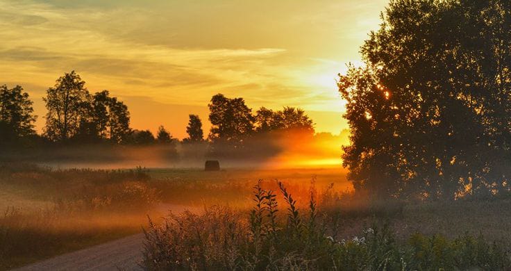 🍀يارب في هذا الصباح إجعل لنا نصيباً من الرحَمة و المَغفرة والفرج والسعادة والرزق والهداية🍀

#صباح الخير