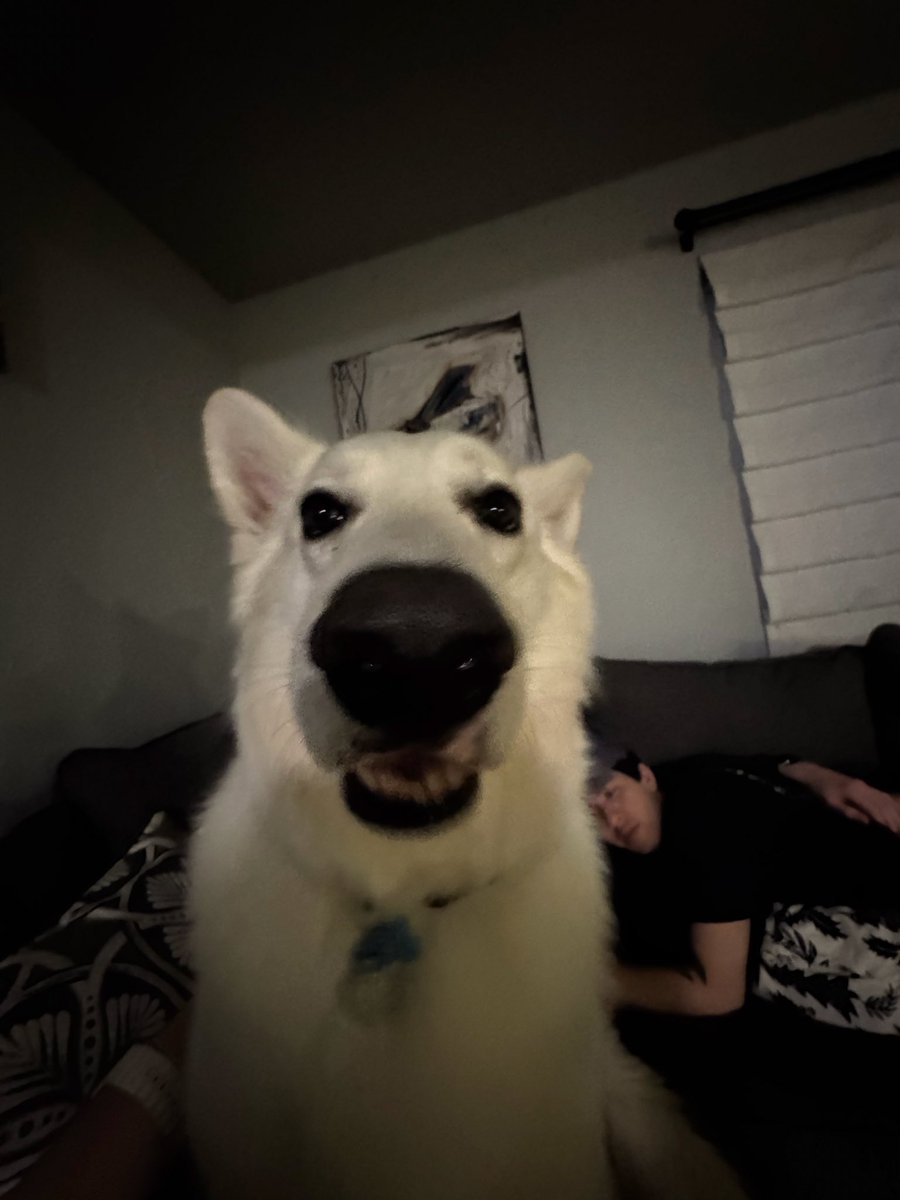 Malachi/Otto ✈️ tweet media