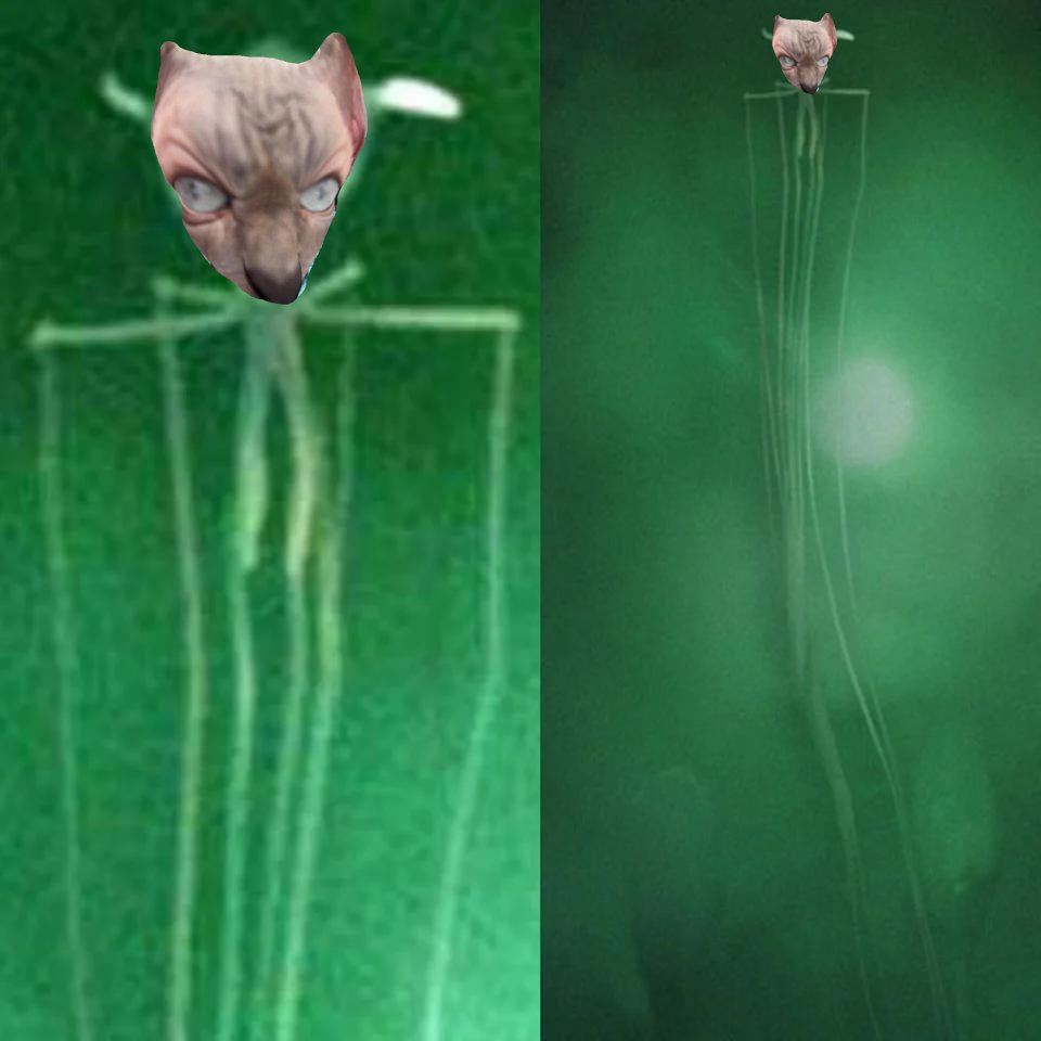 🎀 🍫 🔪 FunkyFreep tweet media