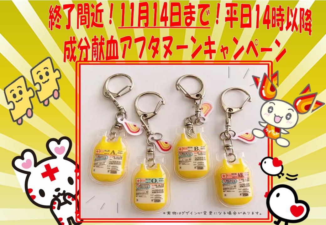 📢平日限定❣️成分献血アフタヌーンキャンペーン 11/14（金）まで実施