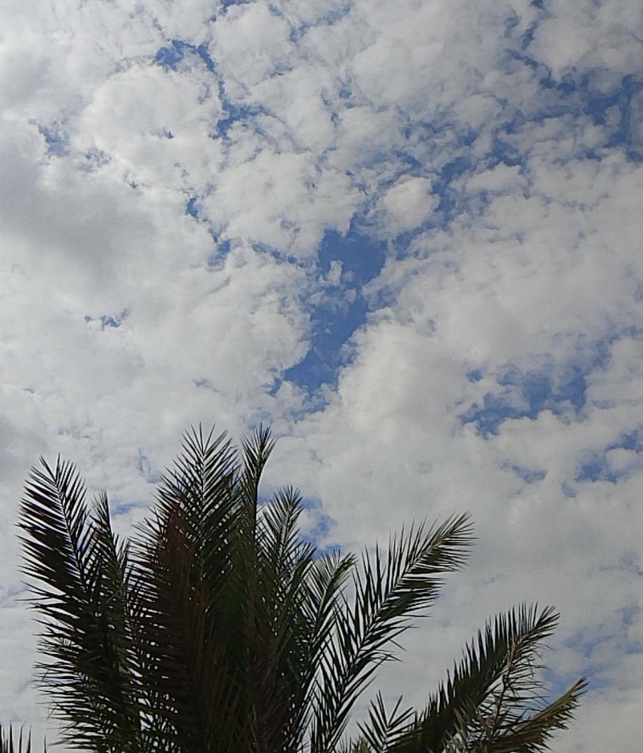 سيتولَّى اللهُ إصلاحَ كلَّ ما في قلبِك وحياتِك، فهو الذي يُدبِّرُ الأمرَ بحكمةٍ، ويجعلُ بعدَ العُسرِ يُسرًا، وبعدَ الحُزنِ فرحًا.فلا تَحزنْ على ما فات، ولا تَقلقْ ممّا هو آتٍ، فالأمورُ كلُّها بيدِه، وإذا وكَّلتَ أمرَك إلى الله فلن يَخذُلك أبدًا

#صباح_الخيروالسعاده