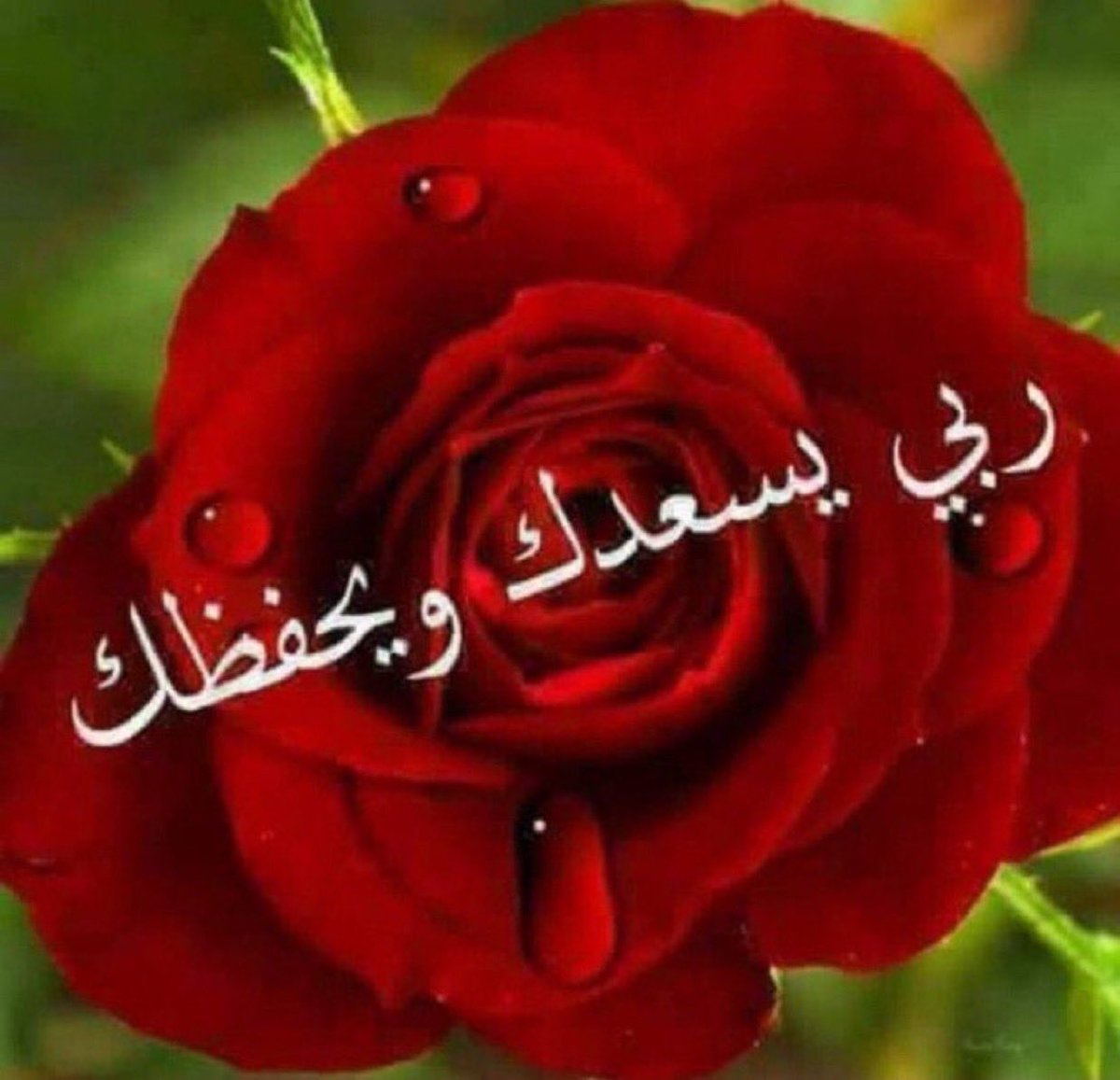 #صباح الخير. اجمل 💐💐متابعين ومتابعات 💐💐

#كلمة شكر أوجهها إلى كل المتابعين لصفحتي المتواضعة شكر لكل من يعلق ويبدي برأيه وشكر لكل من أعاد تغريداتي وشكر لكل من يكتفي بالقراءة ويرحل بسلام وشكر لكل من انتقدني ليصححني و شكرا لكم🌹🌹