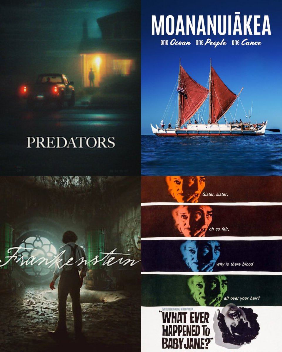 O CINEMA tweet media