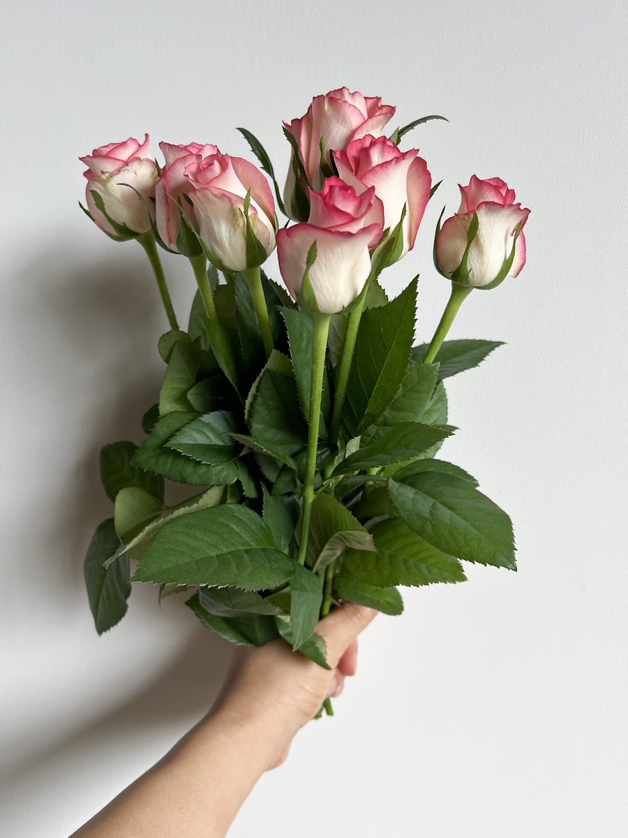 2020スマイルフラワープロジェクト (@jfc1187) / Posts / X