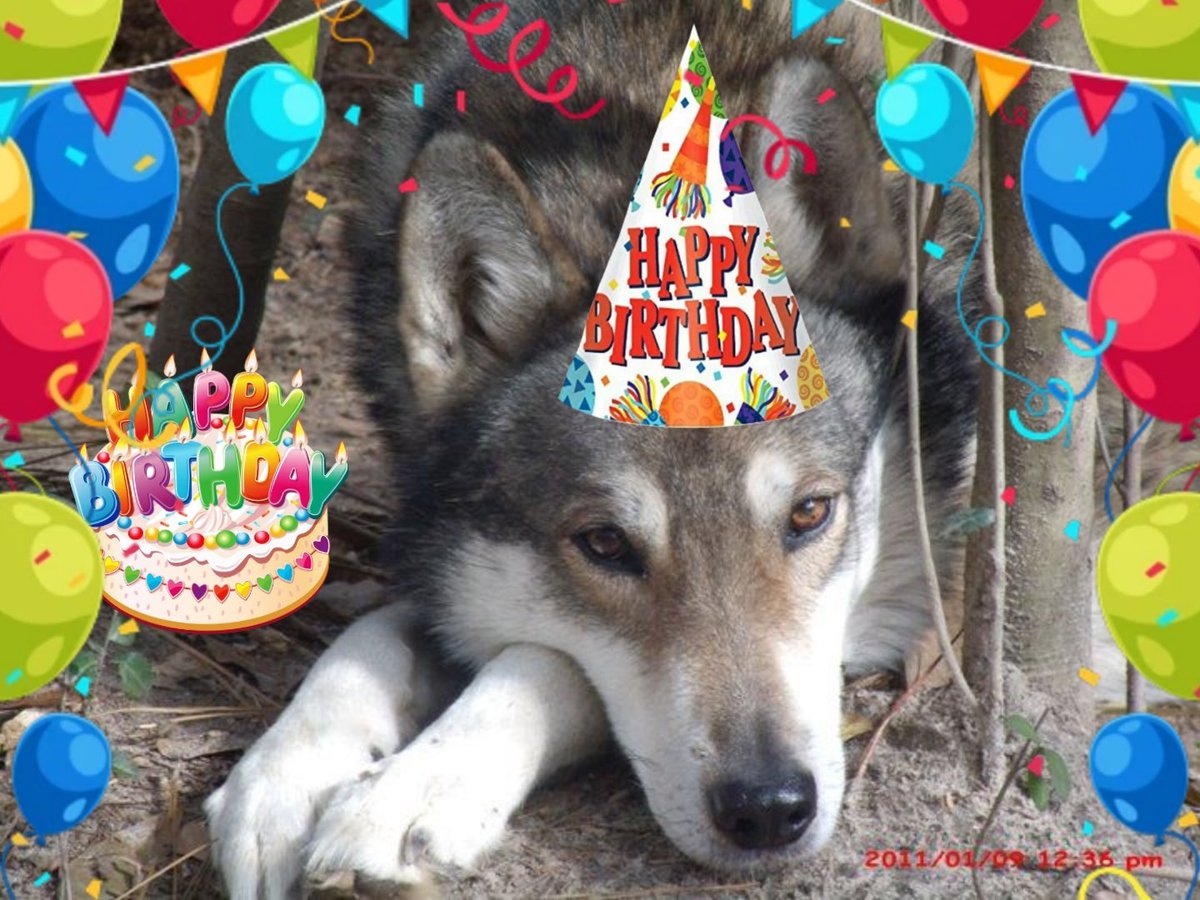 dia 22/10 é comemorado oficialmente o aniversário da parker, e nós do acervo, desejamos um feliz aniversário, também que sua vida seja incrível e maravilhosa, torcemos sempre pelo seu sucesso e prosperidade, e todas nós esperamos que tenha um dia incrível!