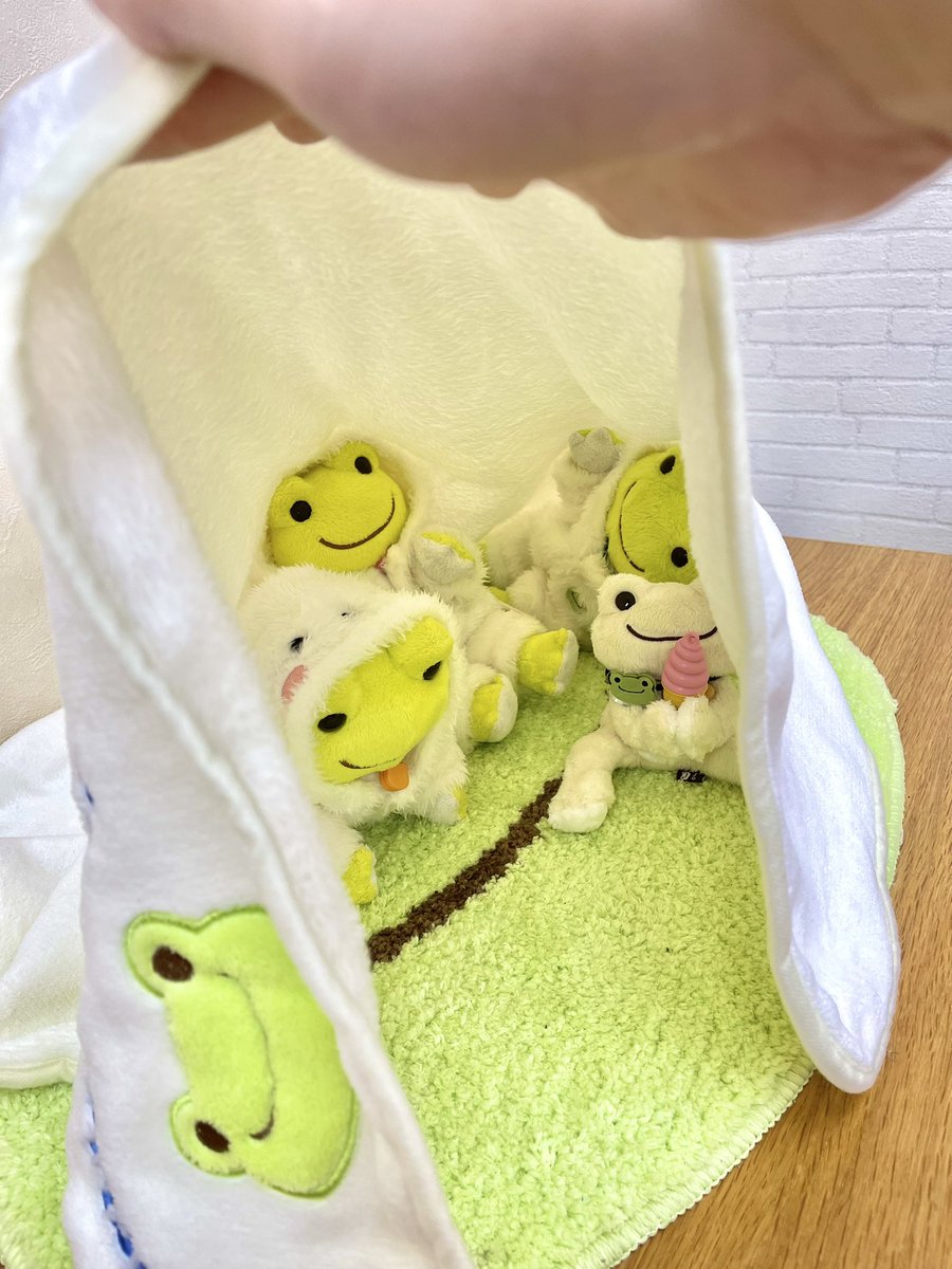 一気に冬が来てしまったかのように寒い両国です🥶

こんにちは。

モゾモゾしていたので、そっと中を覗いてみました👀

みんなぬくぬくしてました🫧

#かえるのピクルス
#picklesthefrog
#ぬい撮り
#飛馬日本