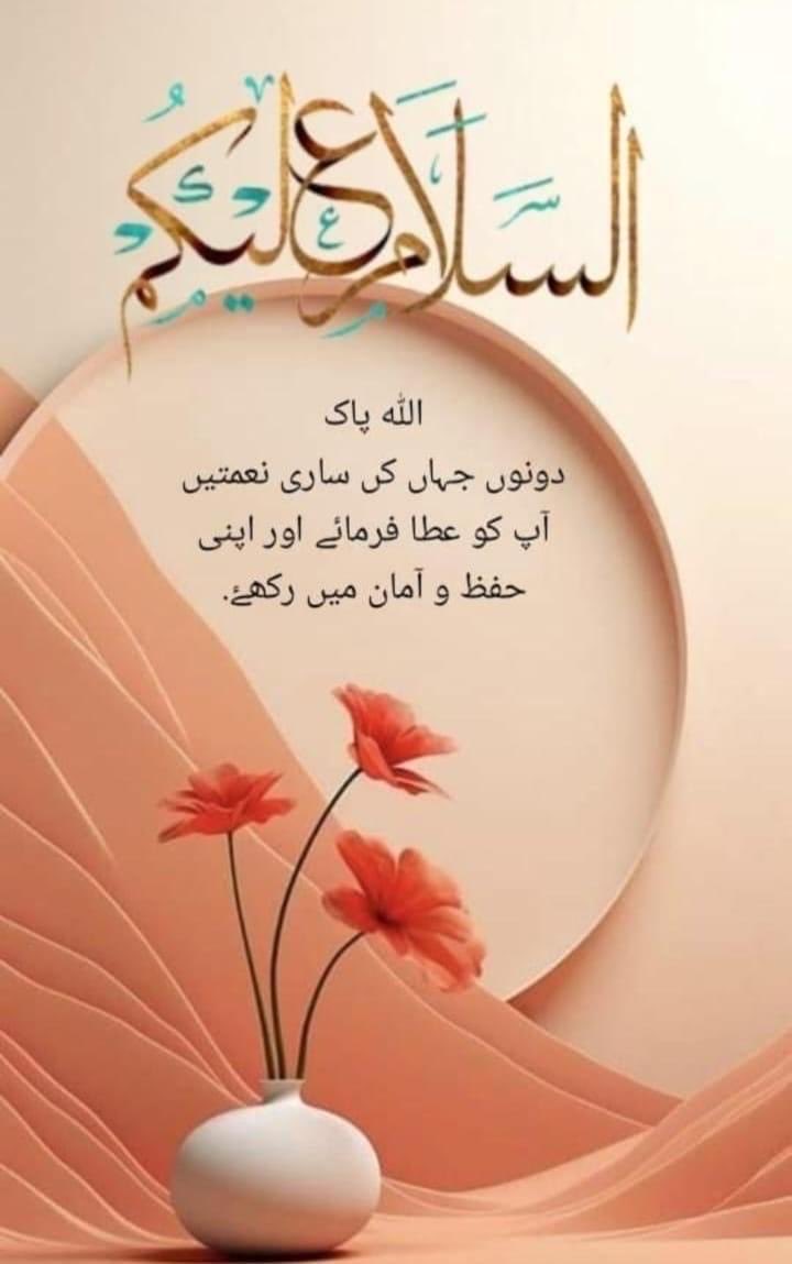 السلام علیکم !
آمین ثمہ آمین 🤲
صبح بخیر 💖
#FreeImranKhan