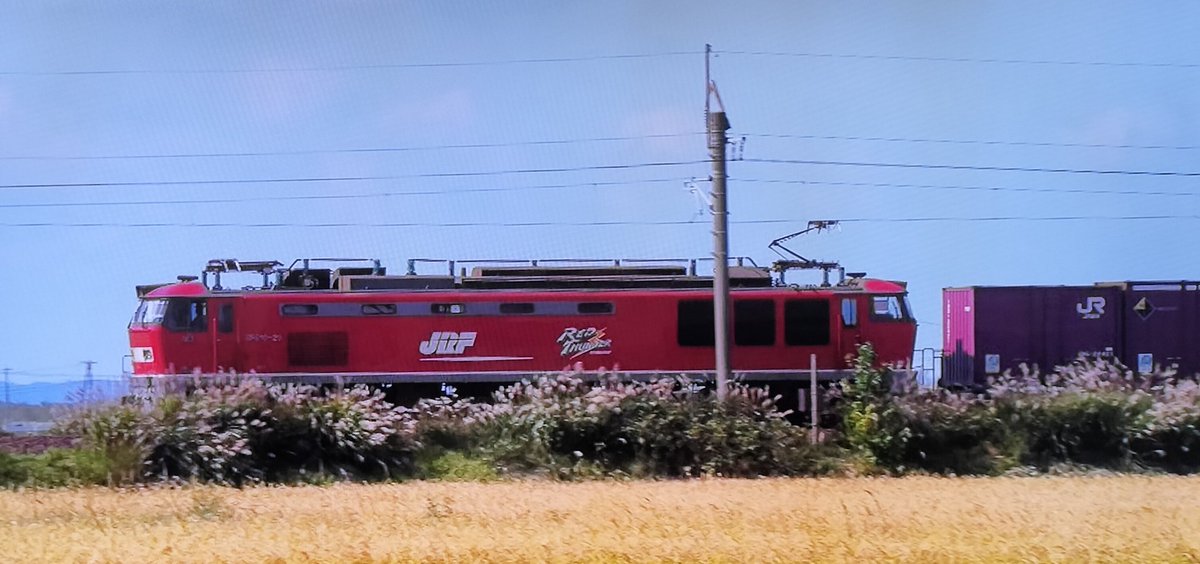 田中美佐子さんがカナディアンエキスプレスと呼んでいた貨物列車は